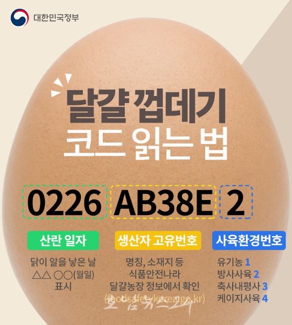  광주지역 생산·유통되는 생산한 계란 안심하고 드세요