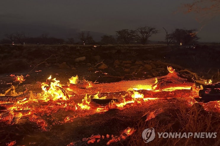 원주 대구 폐기물 야적장 매천시장 화재 하와이 화마로 뒤덮힌 재앙 사망자 53명
