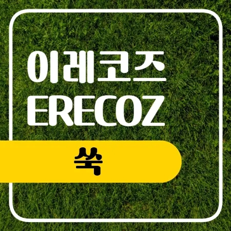  쑥 효능 부작용 알아봐요
