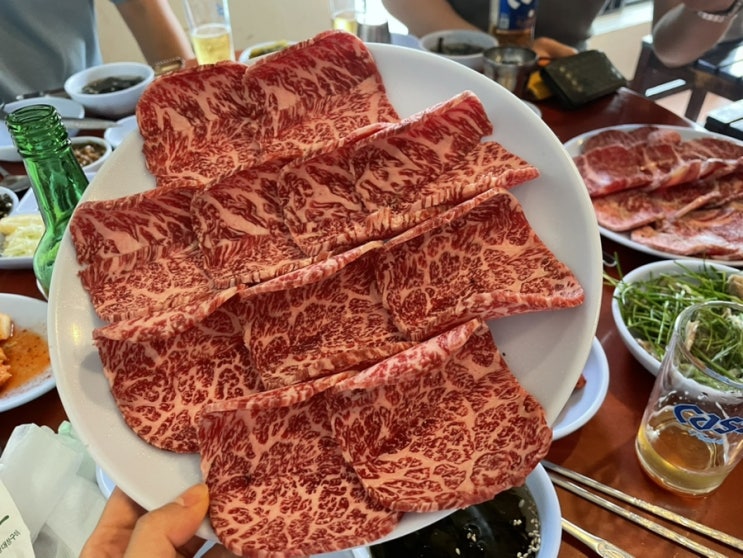  숙대입구 찐 맛집 남영동 초원 예약 하고간 블루리본 고기집 (메뉴추천)