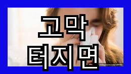 고막 터지면 - 인간의 청각기관 소개