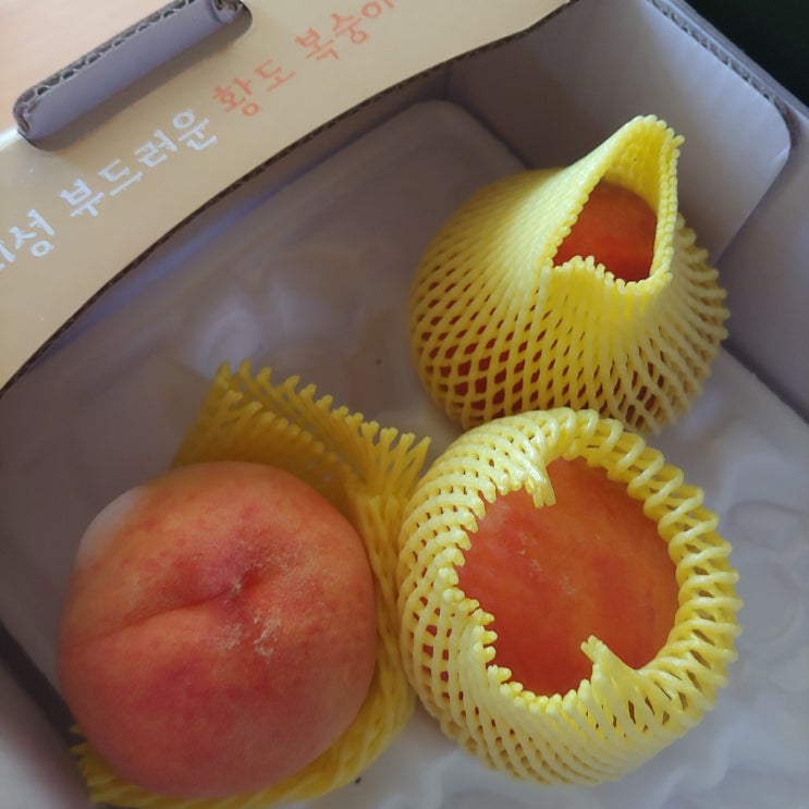  의성 황도복숭아 맛있어요