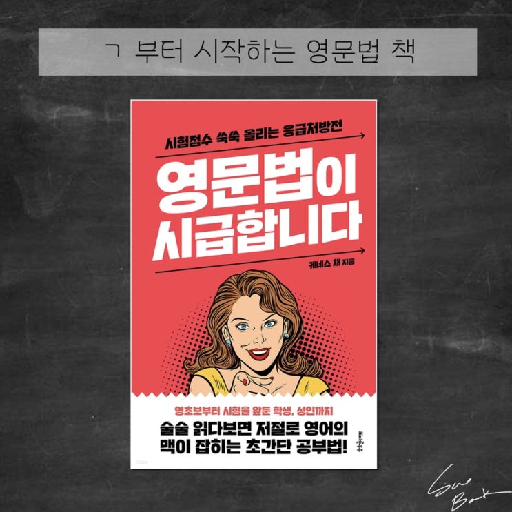  영문법이 시급합니다 - 케네스 채 / ㄱ부터 알려주는 영어 문법책