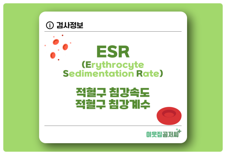 ESR 검사 적혈구 침강 속도 적혈구 침강 계수 알아보기