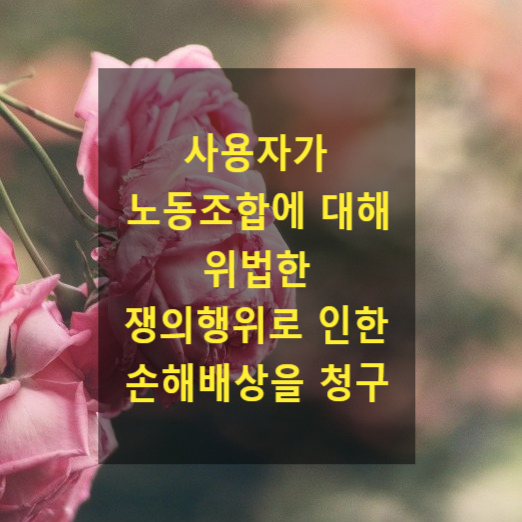 사용자가 노동조합에 대해 위법한 쟁의행위로 인한 손해배상을 청구