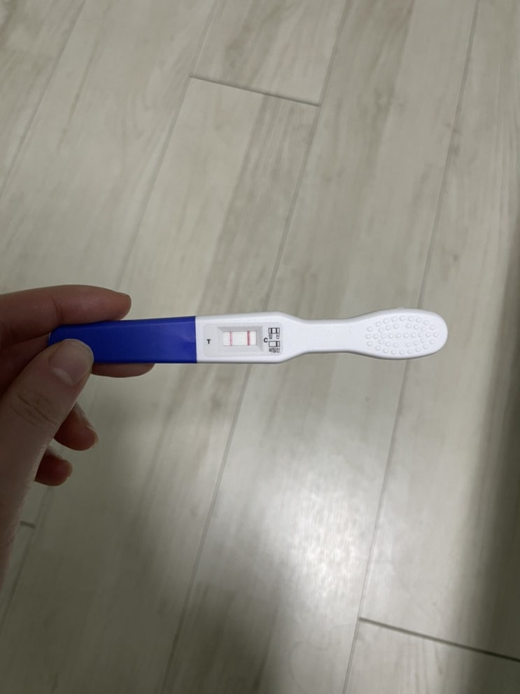  임신초기/첫 심장소리/첫 만남