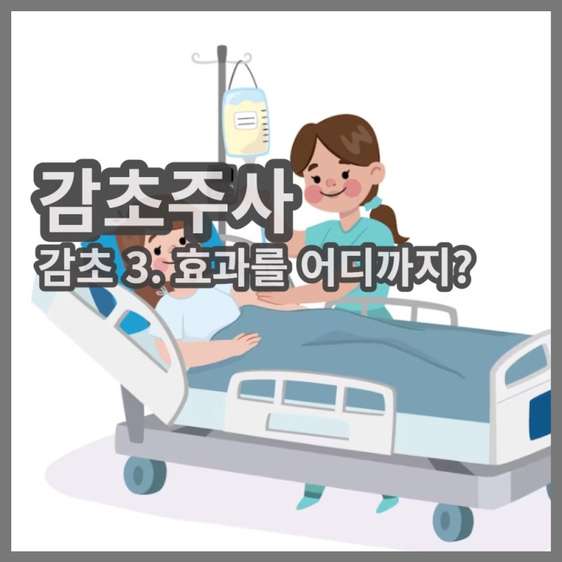 감초 3편. 감초주사 히시파겐씨주, 글리시진주에는 감초가 얼마나 들어있을까?