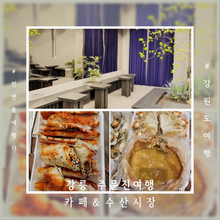  강릉 주문진 여행코스 카페 오드커피 주문진 수산시장 킹크랩파티