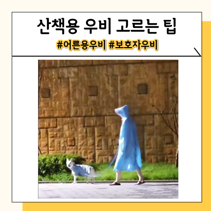 비오는 날 강아지 산책용 어른 우비 추천과 잘 고르는 팁 비오는 날 강아지 산책용 어른 우비 추천과 잘 고르는 팁