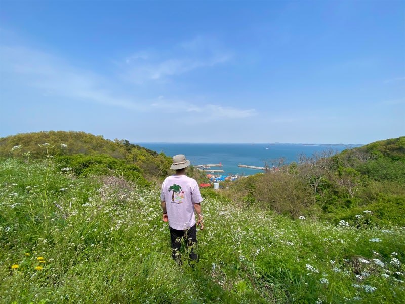 [맨블] 경기 안산 서해바다 풍도여행 | 야생화 천국! 섬 한 바퀴 트레킹 코스 : 네이버 블로그