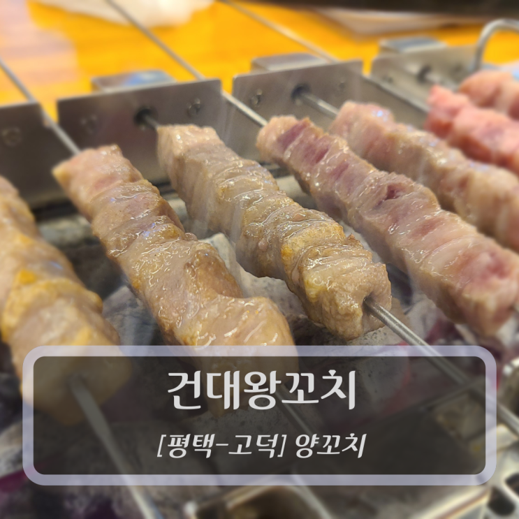  [평택양꼬치-고덕] 건대왕꼬치
