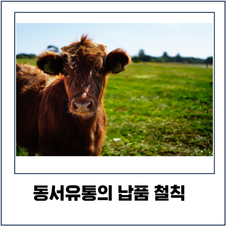  식당에 좋은 고기를 납품하는 동서유통의 철칙