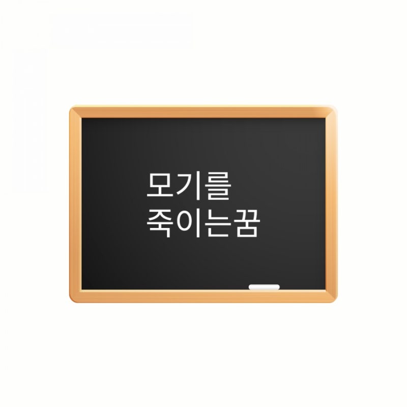 모기를죽이는꿈 모기떼꿈해몽 모기약뿌리는꿈 큰모기를본꿈