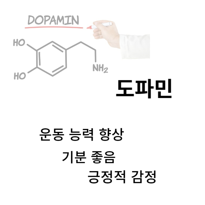  찬물 샤워 도파민 워밍 효능