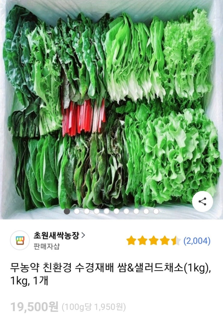  쿠팡 쌈 샐러드채소