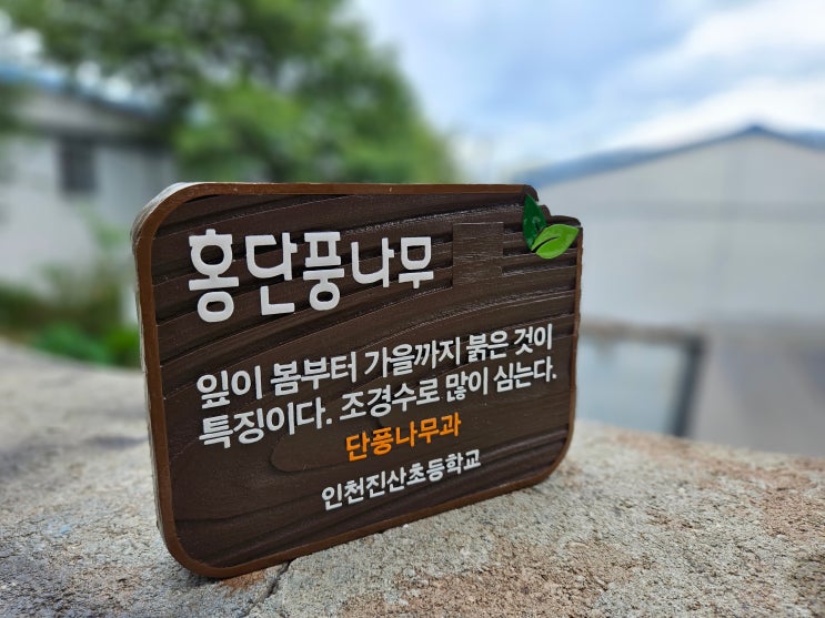 학교 수목표찰 문구부터 QR코드까지