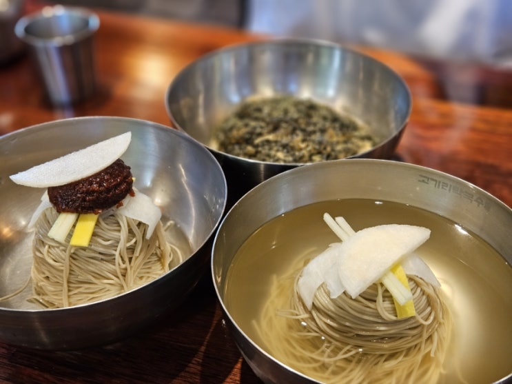  용인시 수지구 수요미식회 출연 계곡 근처 맛집 '고기리막국수' 내돈내산 후기