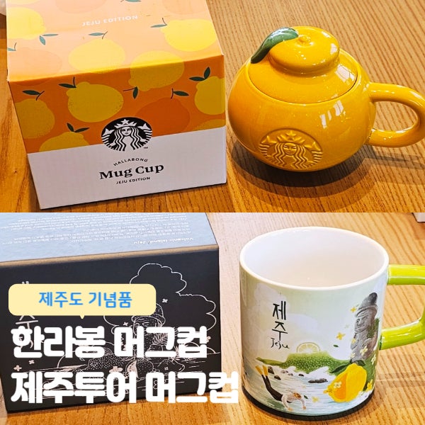  제주여행 제주도 기념품 추천 스타벅스 한라봉 머그컵, 제주투어 머그컵