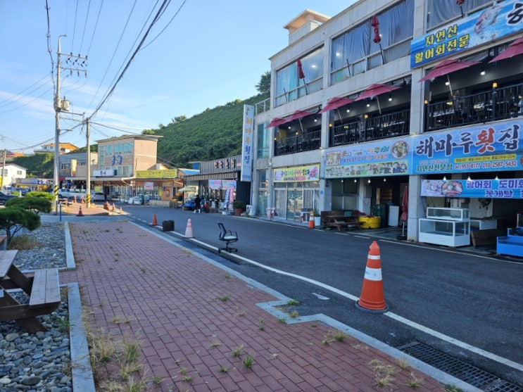  서천 춘장대 주변 항구 홍원항서 회뜨기