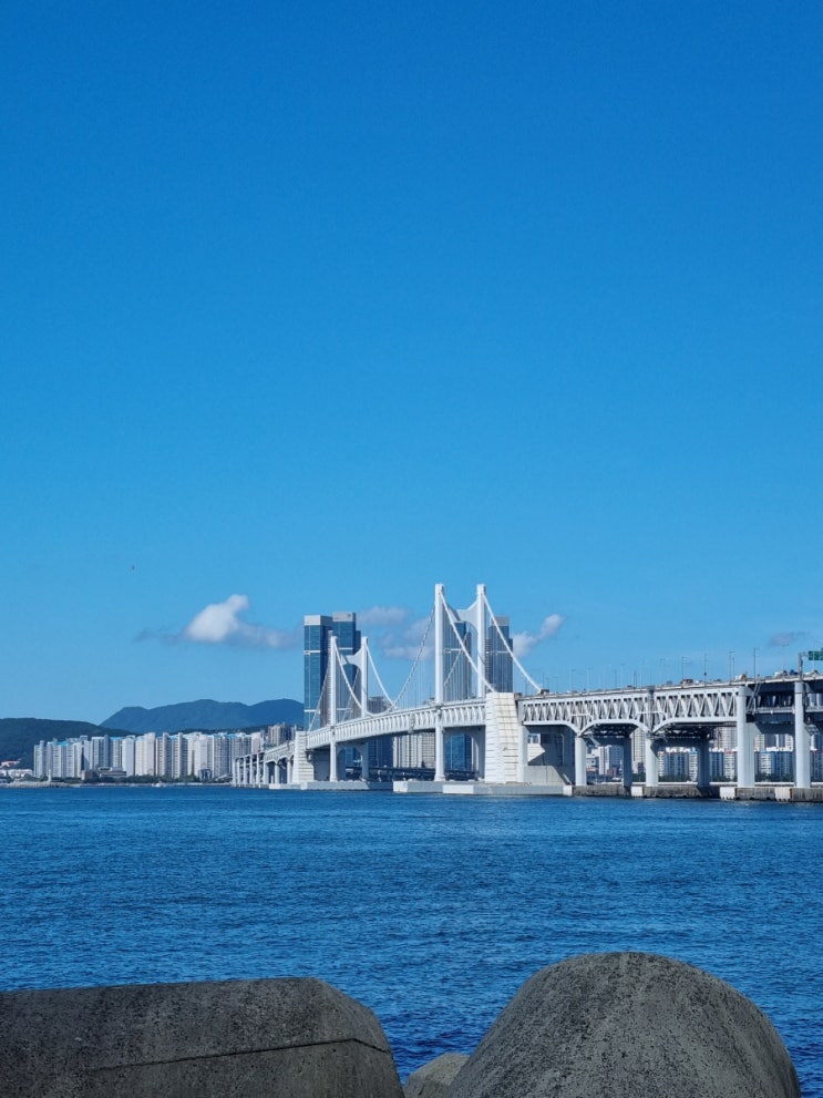  [또간집 1편] 2박 3일 부산 여행 코스 추천