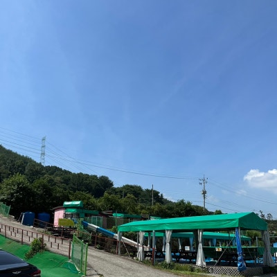 사진 5