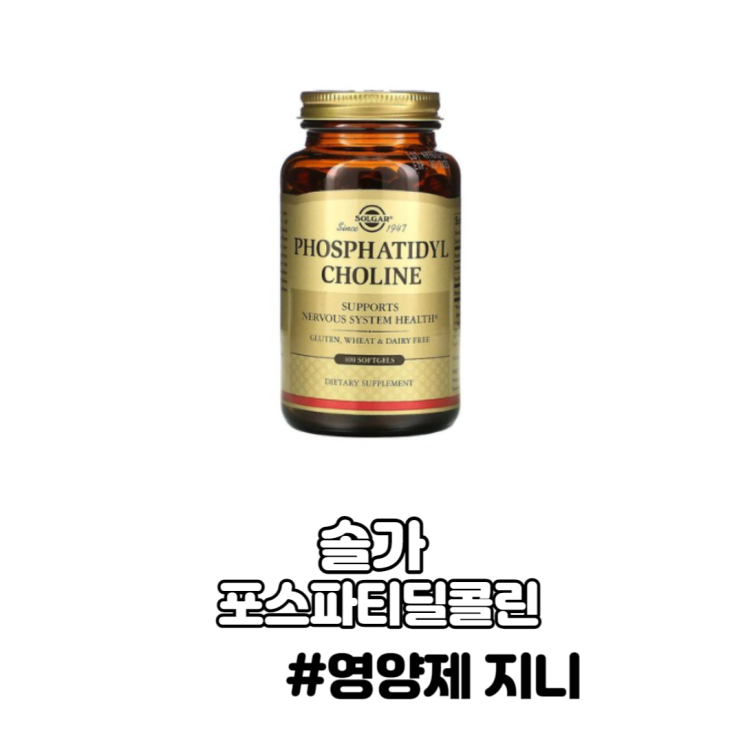 포스파티딜콜린 레시틴 신경전달물질 글루타치온 포스파티딜콜린 레시틴 신경전달물질 글루타치온