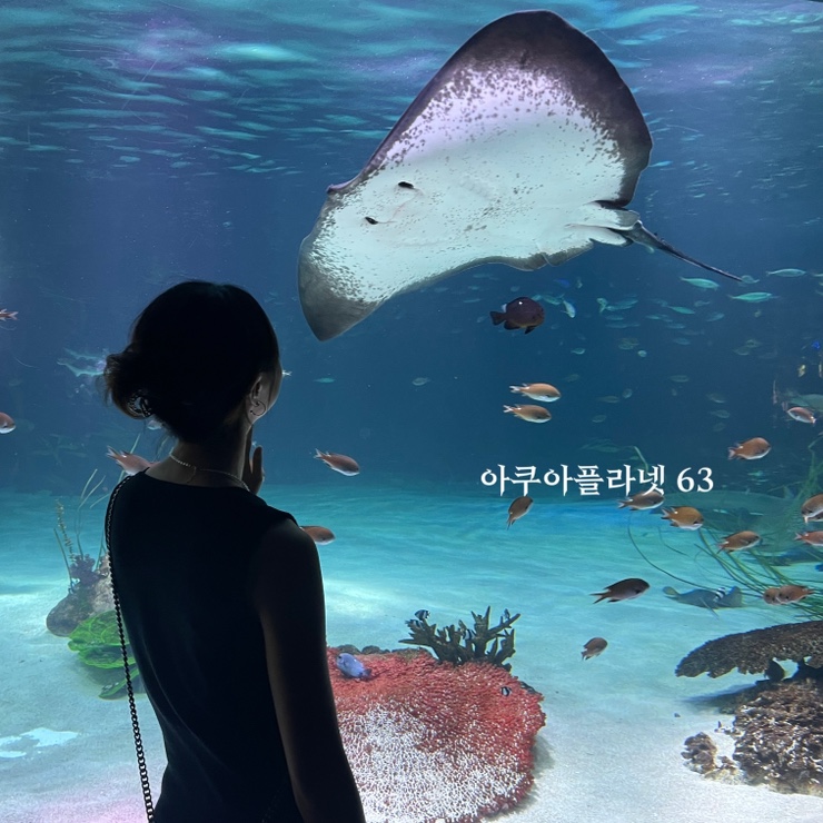  서울 나들이 비오는날 실내데이트 63빌딩 아쿠아리움 아쿠아플라넷63 63아트 전시회 맥스달튼 예매 프로그램 정보