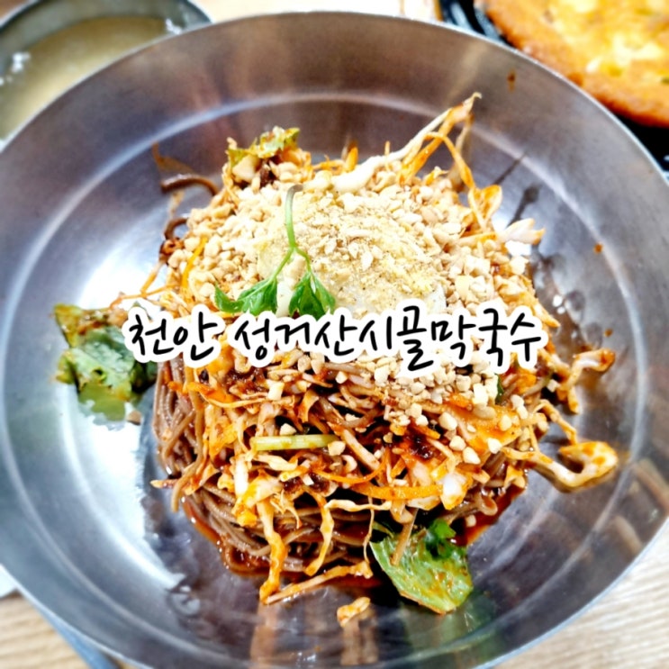  천안성거맛집 성거산시골막국수 feat 막국수맛집