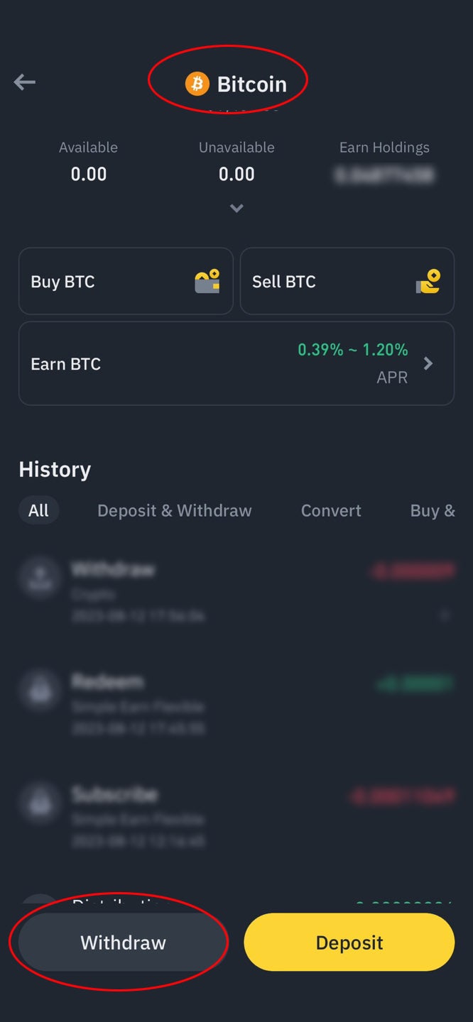 사토시지갑을 이용한 비트코인 결제 ;라이트닝 네트워크(Lightning Network) - 실습2 : 네이버 블로그