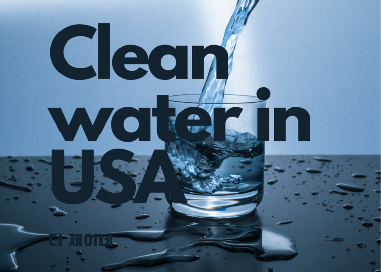 미국1년살기 - 깨끗한 물을 마시기 위한 선택 (feat. 브리타 정수기)