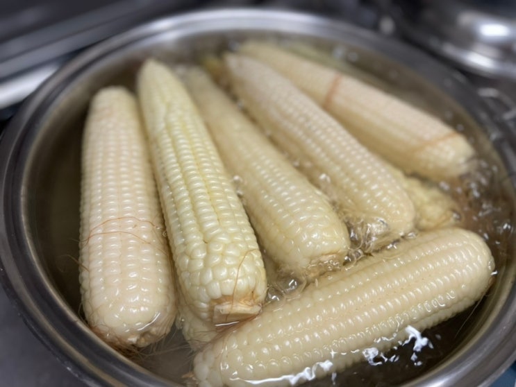 옥수수 맛있게 삶는법 집에서 찰옥수수 삶는시간 뜸들이기