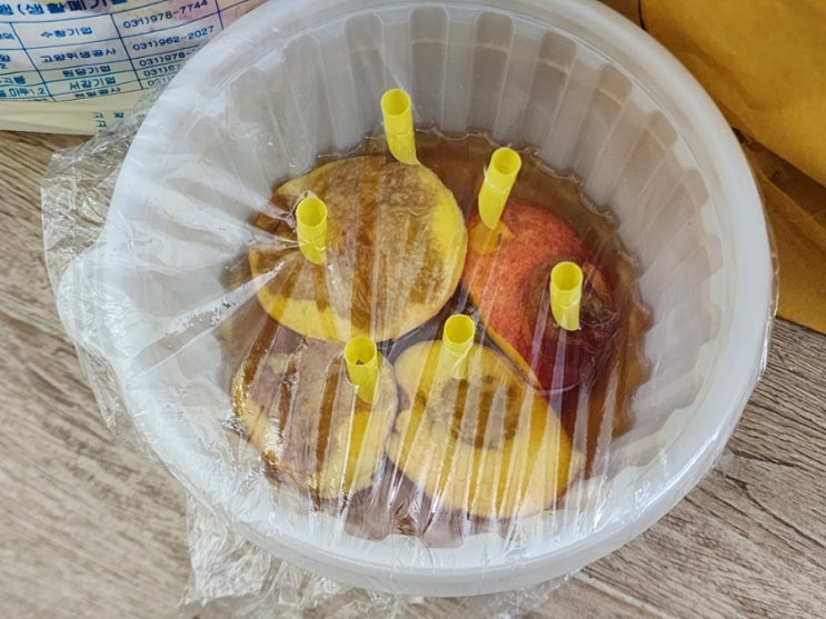  초파리 트랩 셀프 만들기 / 퇴치 과연 효과가 있을까?