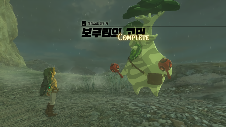  [젤다의 전설 왕국의 눈물] - 왕눈/에피소드 챌린지/보쿠린의 고민