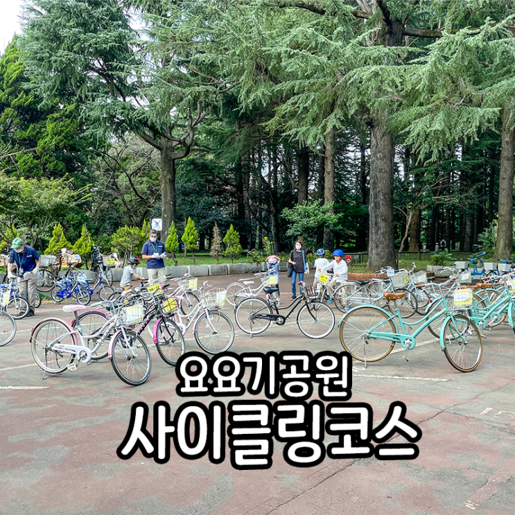  도쿄 5대 공원, 요요기공원에서 자전거 렌탈해서 온 가족 같이 자전거 타기