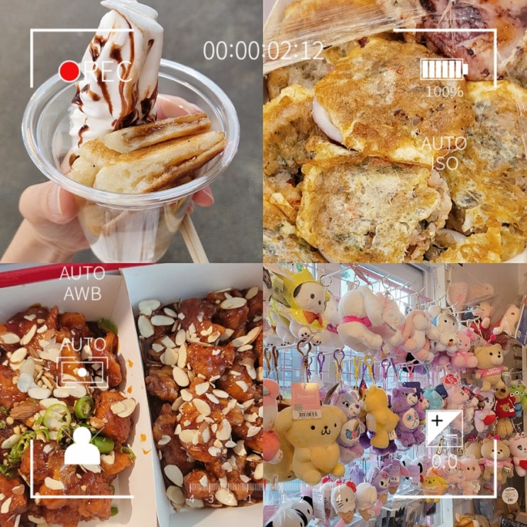 강원도 월화거리 강릉중앙시장 야시장 시간 주차장 먹거리 장칼국수 닭강정 오징어순대 먹어봄
