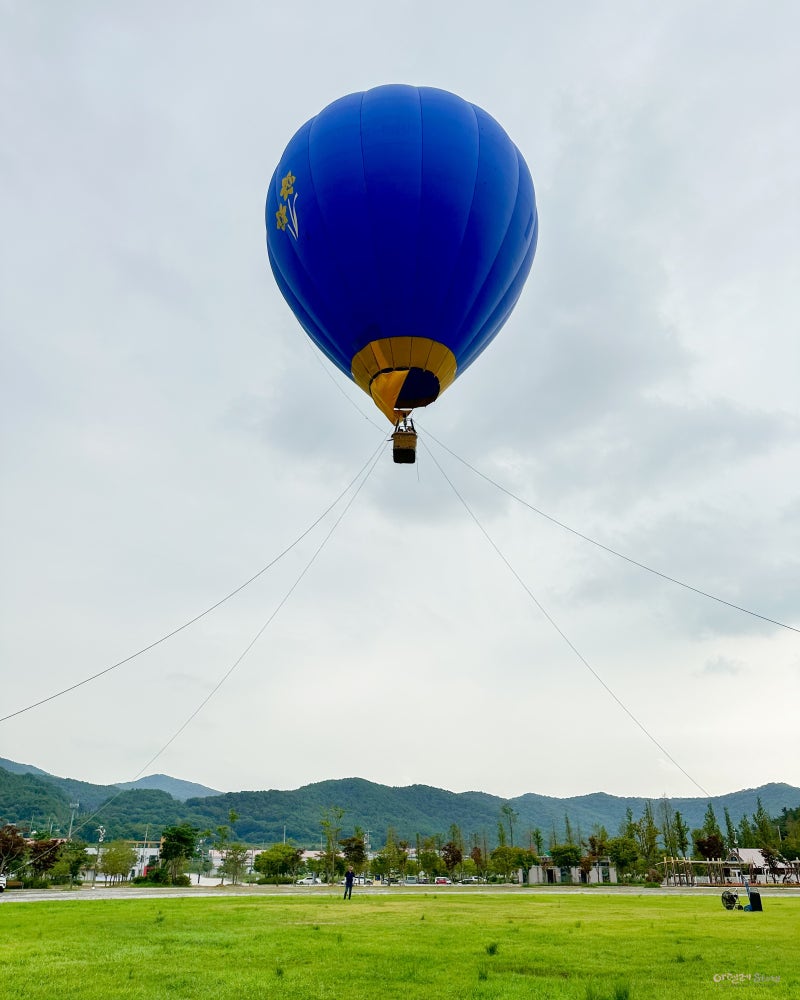 사진 6