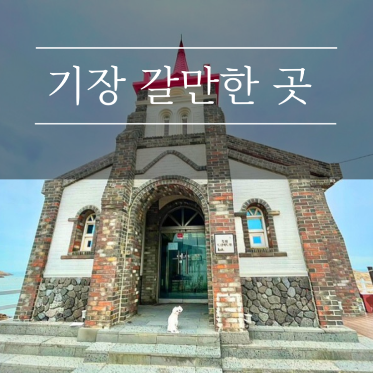  부산 죽성성당 기장 가볼만한곳 애견동반 여행 죽성드림세트장 강아지 사진명소 추천