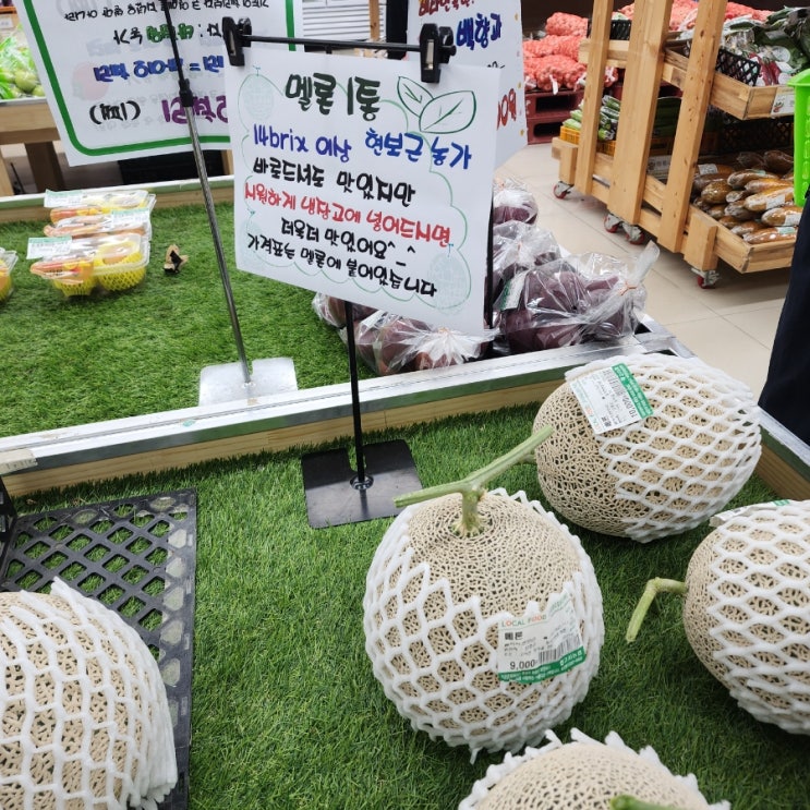  고서로컬푸드에서 신선한 야채&과일 장보기