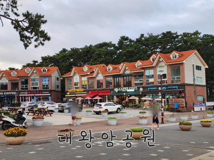  울산 동구 대왕암공원 : 유료주차(9/1부터), 스탬프 투어, 다자녀사랑 카드