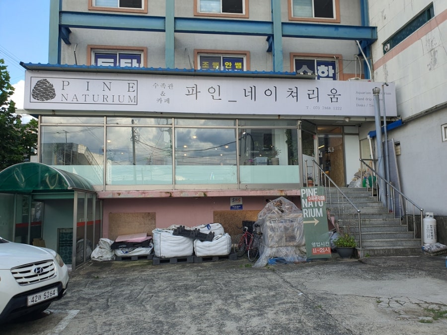 파인네이쳐리움 사진 1
