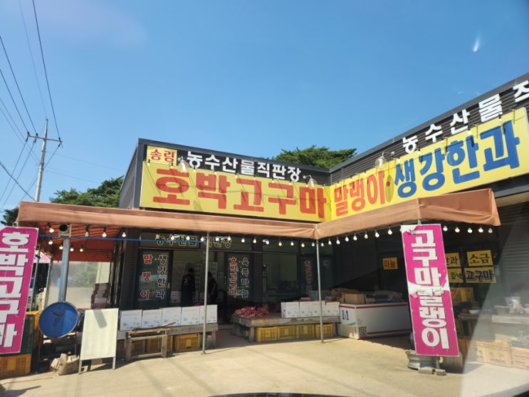 송림 농수산물 직판장 호박고구마 구매! 송림 농수산물 직판장 호박고구마 구매!
