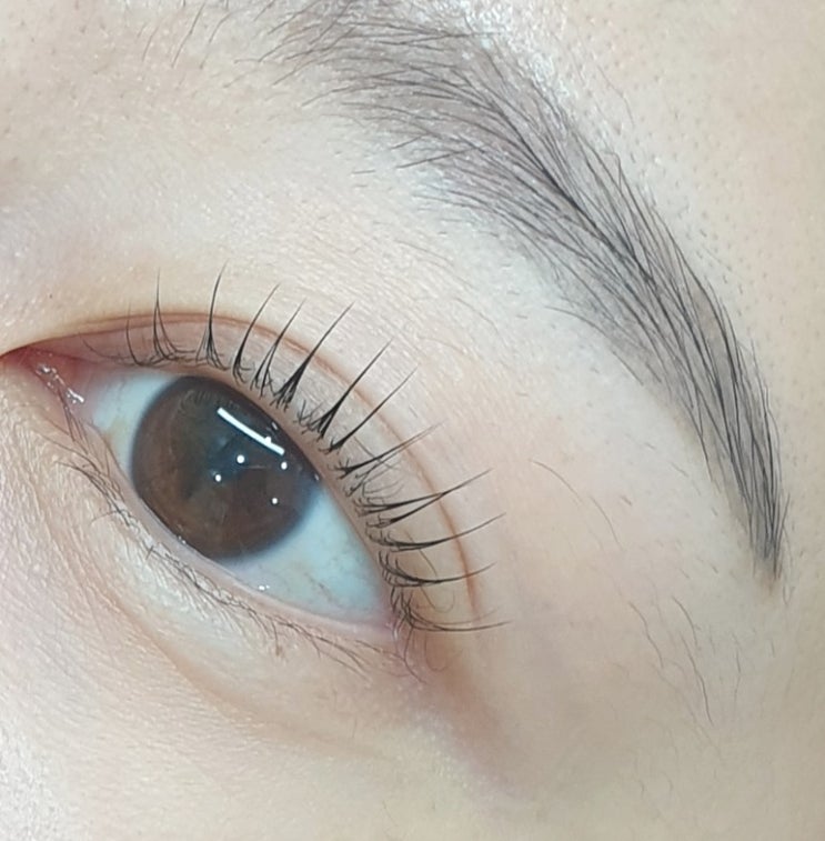  상현동속눈썹펌 광교속눈썹 연장 광교속눈썹 펌  상현동속눈썹 연장 아주대속눈썹펌 본테스튜디오 광교에서!