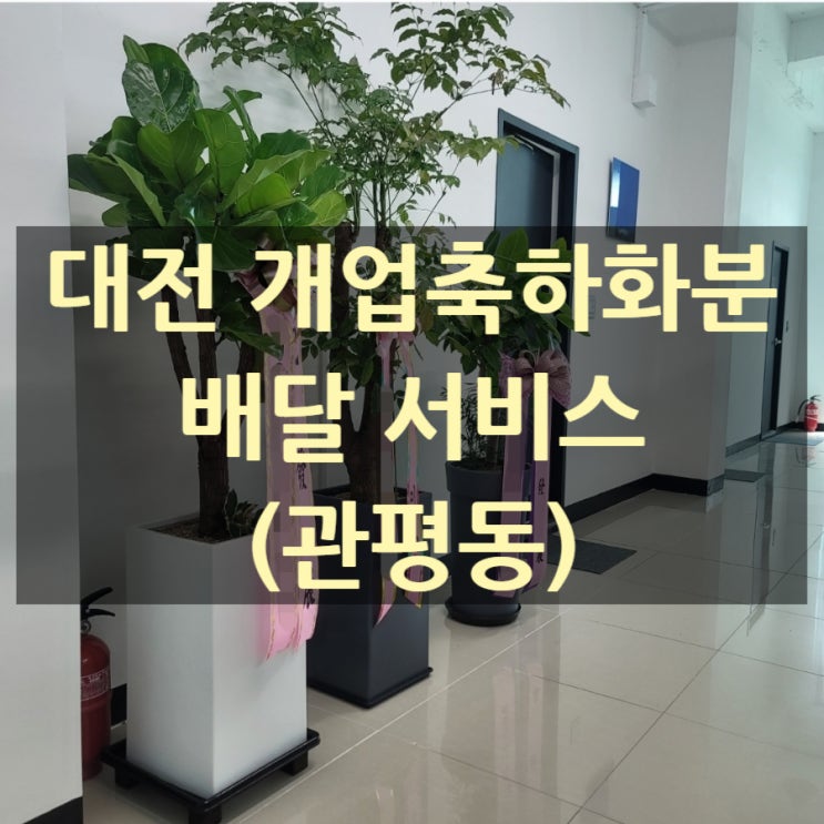  대전 개업축하화분 배달했습니다(관평동 XX바이오기업)
