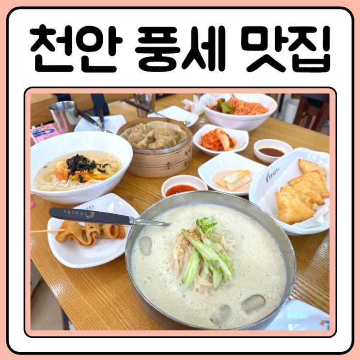  풍세 맛있는집 망향비빔국수 방문기
