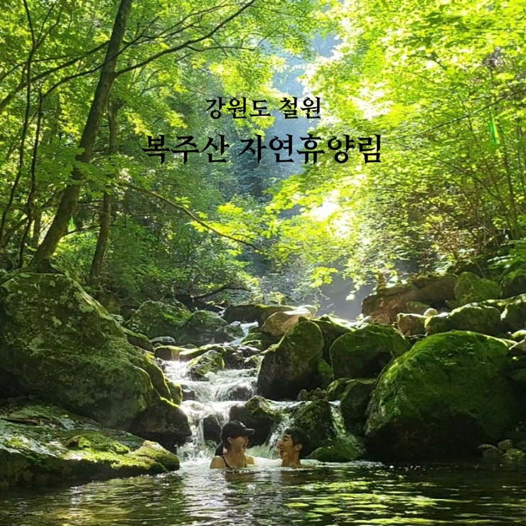  강원도 철원 가볼 만한 곳 국립 복주산자연휴양림 가족과 힐링여행 준비물 꿀팁 예약 계곡 정보