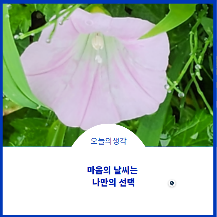  마음의 날씨는 나만의 선택