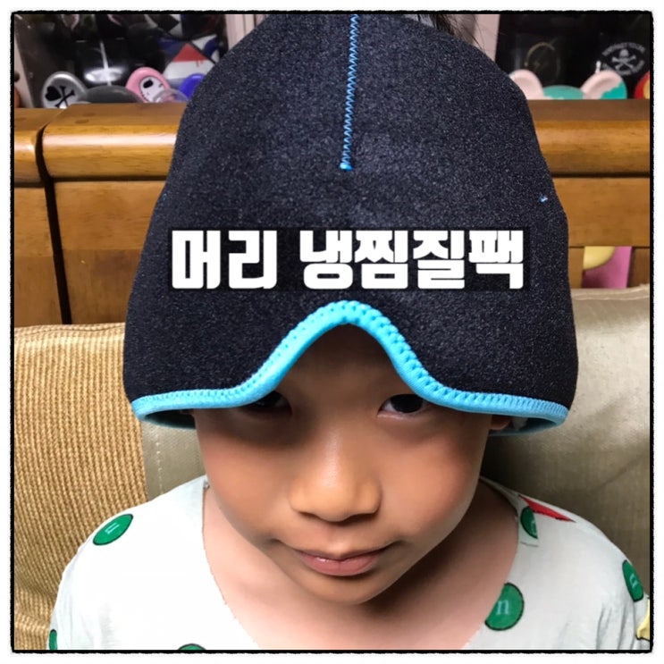 페어벨류 머리냉찜질팩 머리아이스팩 머리열감내리기 사용 리뷰 페어벨류 머리냉찜질팩 머리아이스팩 머리열감내리기 사용 리뷰