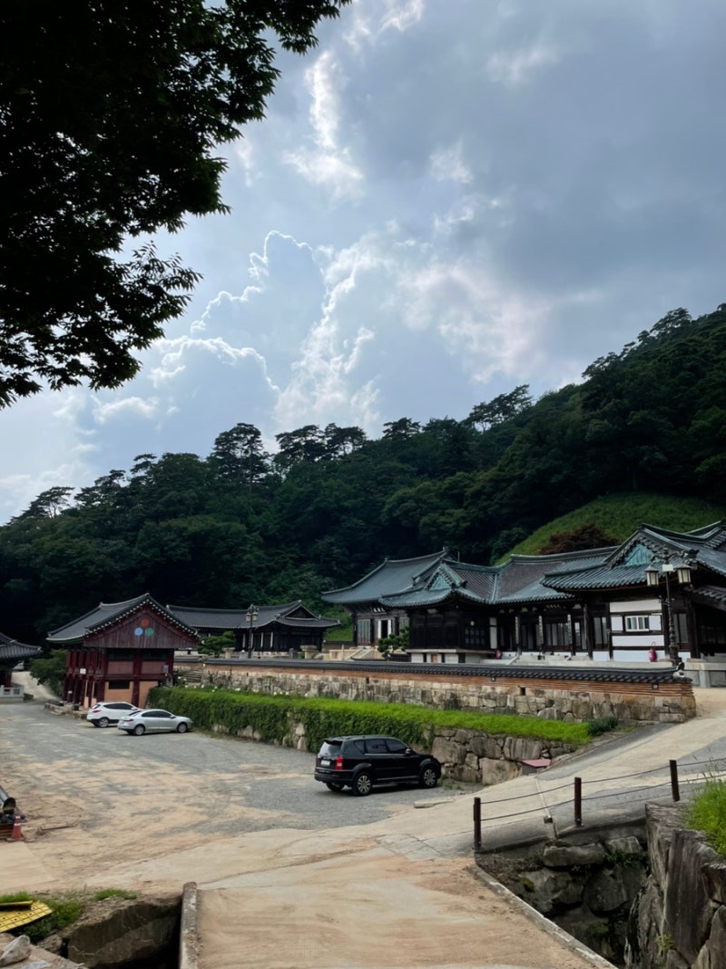 내돈내산)여름 템플스테이 문경의 숨겨진 보물 대승사 왕강추 후기 ...