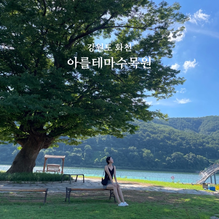  강원도 화천 가볼 만한 곳 추천 아를테마수목원 거례리사랑나무 있는 곳 화천 데이트 반지교 화천산천어파크골프장 정보