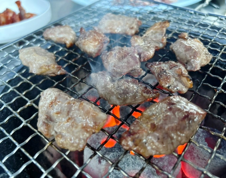  [울산 남구 공업탑 맛집] 부산갈매기 | 생갈매기, 양념갈매기